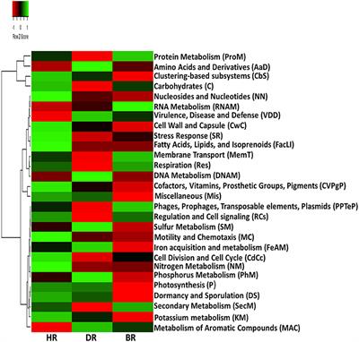 Plant Health Status Affects the Functional Diversity of the Rhizosphere Microbiome Associated With Solanum lycopersicum